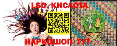 индика Обь