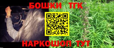 mix Новодвинск