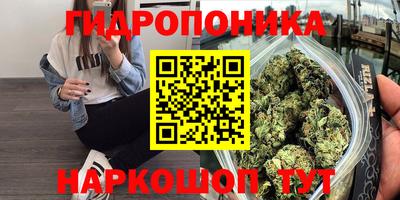 гашиш Новозыбков