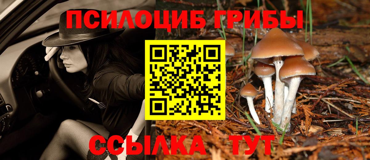 Галлюциногенные грибы мицелий Черногорск